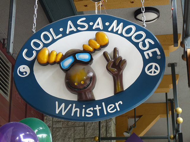 'Cool As A Moose'