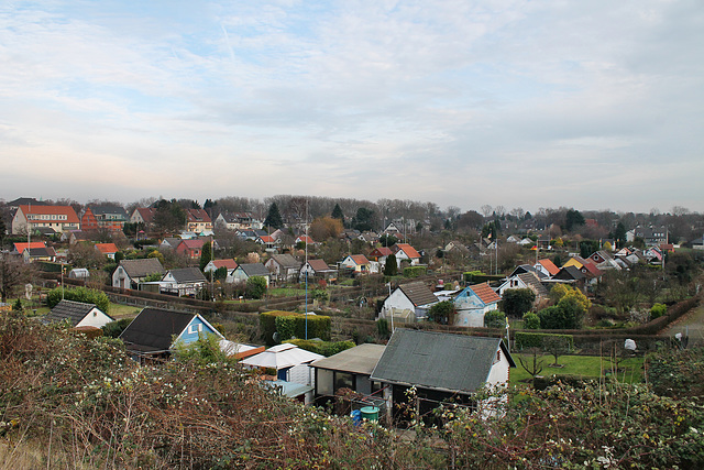 Schrebergärten unterhalb des neuen Gewerbegebietes (Bochum-Hiltrop) / 10.12.2016