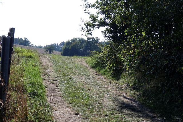 Weg nach Katzheim