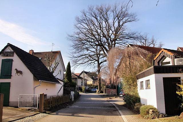 Im Stillen Winkel (Unna-Lünern) / 12.02.2022