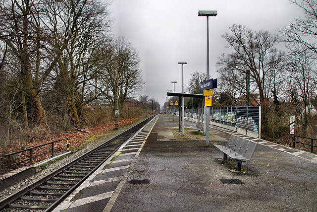 Bahnhof Essen-Zollverein Nord / 21.01.2023