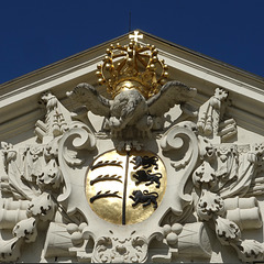 in the morning light in the morning light