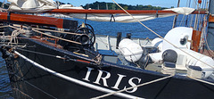 Iris