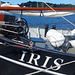 Iris
