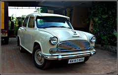 Ambassador 1964