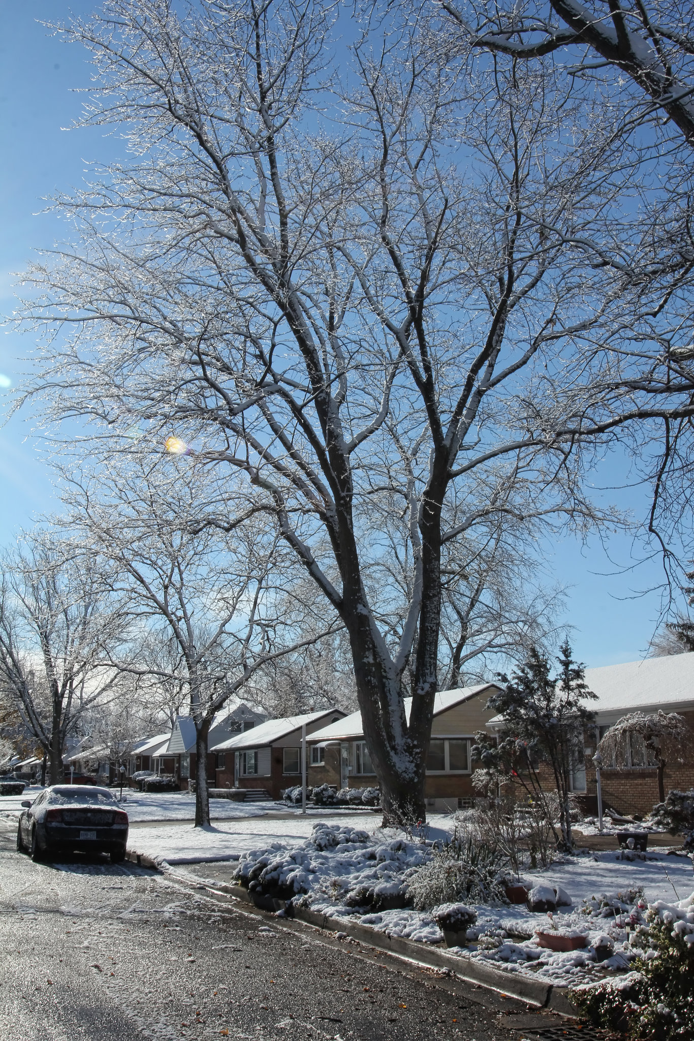 polite snow-clear pavement