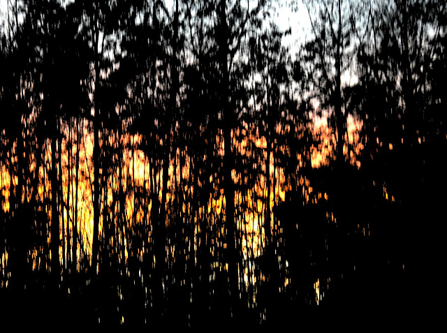 Sunset abstracted