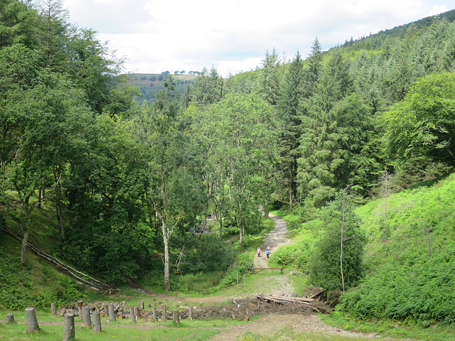 Cwm Wernderi Reservoir Dam