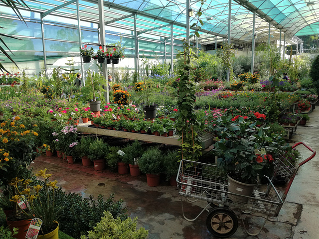 Campo Grande Garden shop