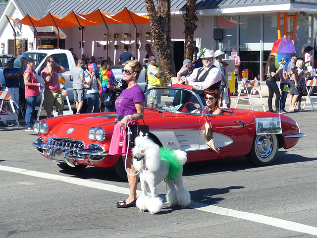 Palm Springs Pride (76) - 8 November 2015