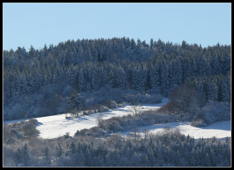 lisières et haies en haut - 1000 m