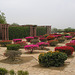 Umaid Bhawan Palace Gardens