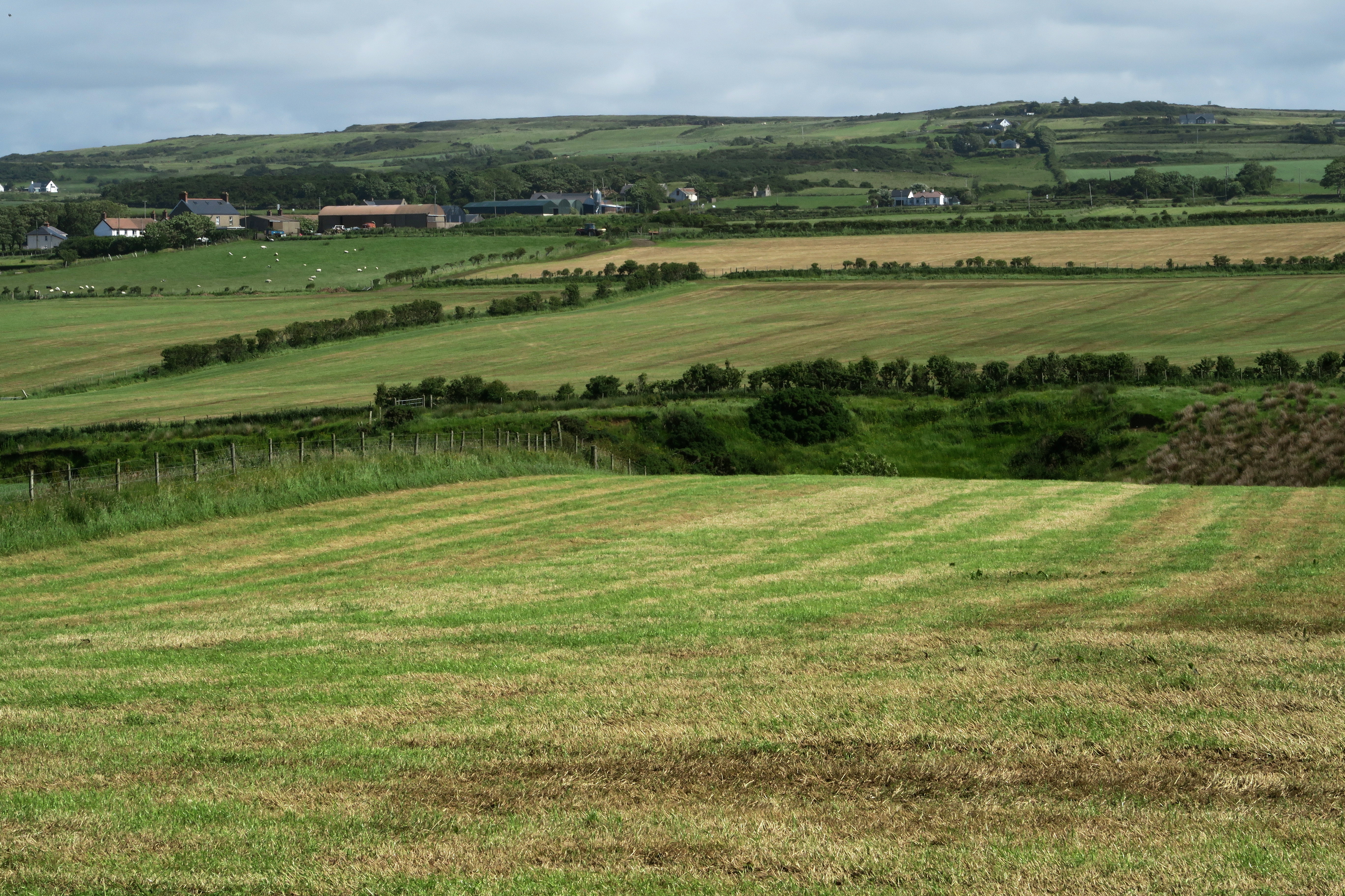 IMG 5366-001-Dunseverick Farms 2