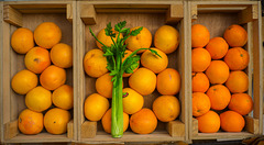 Oranges and Green - Jaffa, Israel
