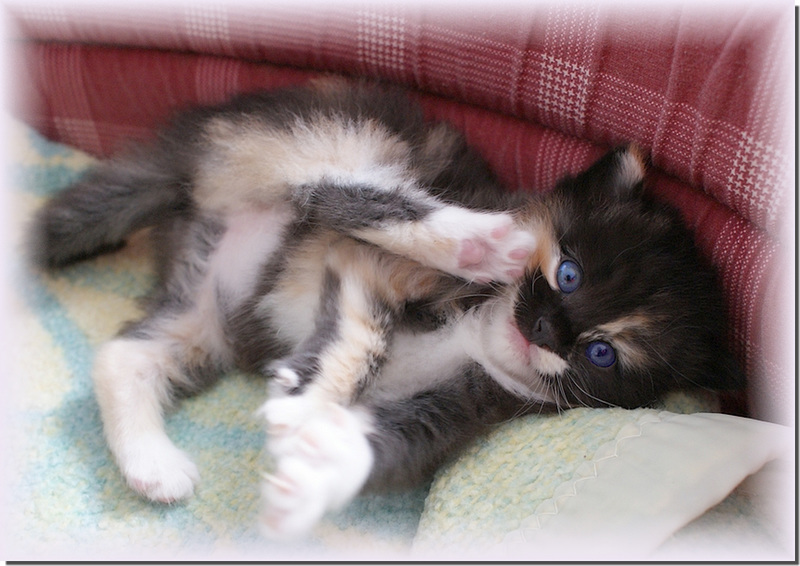 Si craquant!!!