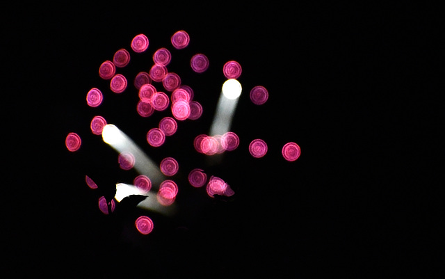 Feu d'artifice rose et blanc