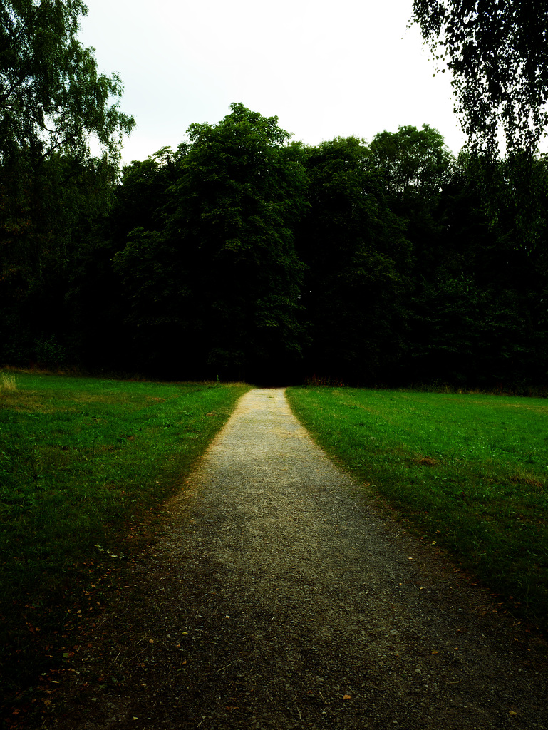 Der lange Weg ins Ungewisse mit Hoffnung, Wald, Horn Bad-Meinberg