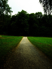 Der lange Weg ins Ungewisse mit Hoffnung, Wald, Horn Bad-Meinberg