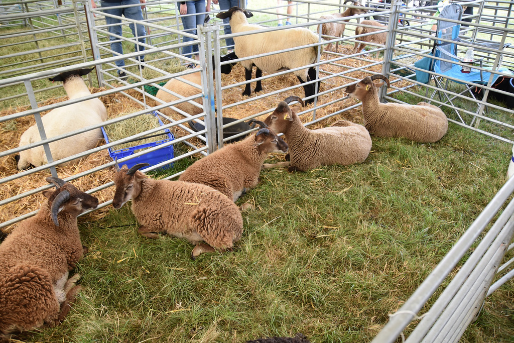 179thcasaug122023 (1301)