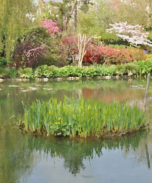 Giverny XXV