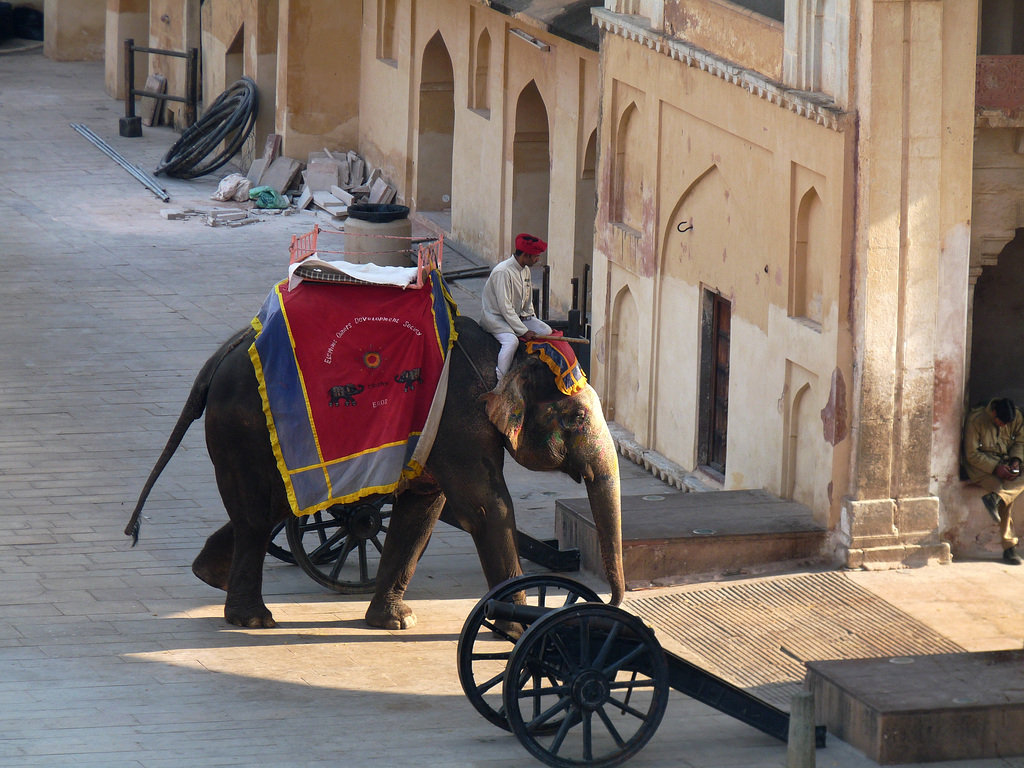 Amer- Amber Fort- Elephant Leaving via Suraj Pol (Sun Gate)