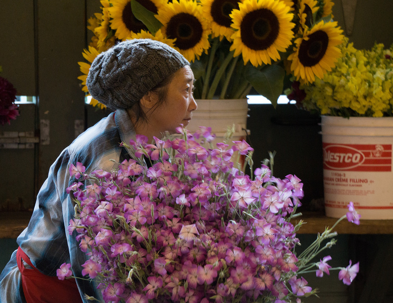 Woman with bunch