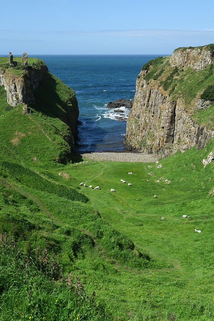 IMG 5368-001-Dunseverick Castle Cliffs