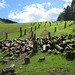 Cwm Wernderi Reservoir Dam