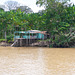 Amazonas-0594