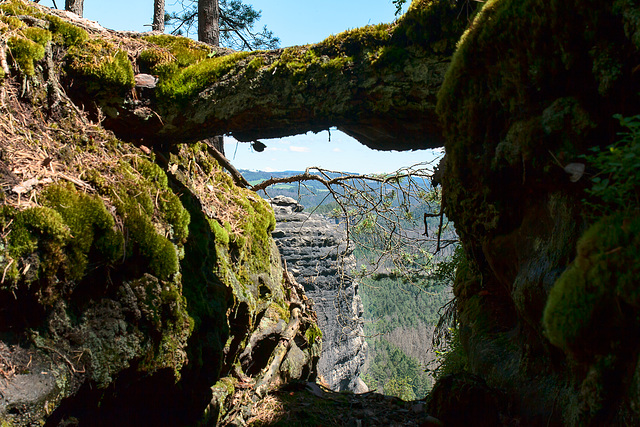 21_06_Sächsische Schweiz / Elbsandsteingebirge