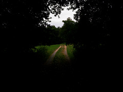 Der Weg aus dem Dunkeln, Wald, Horn Bad-Meinberg