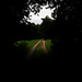 Der Weg aus dem Dunkeln, Wald, Horn Bad-Meinberg