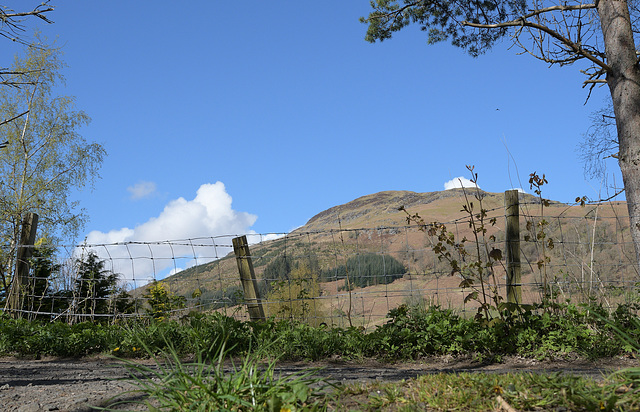 HFF ~ Meall Liath from Loch Tay