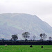 Melbreak from Buttermere (scan from Oct 1991)