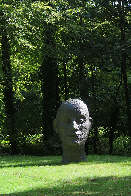 Head by John Davies