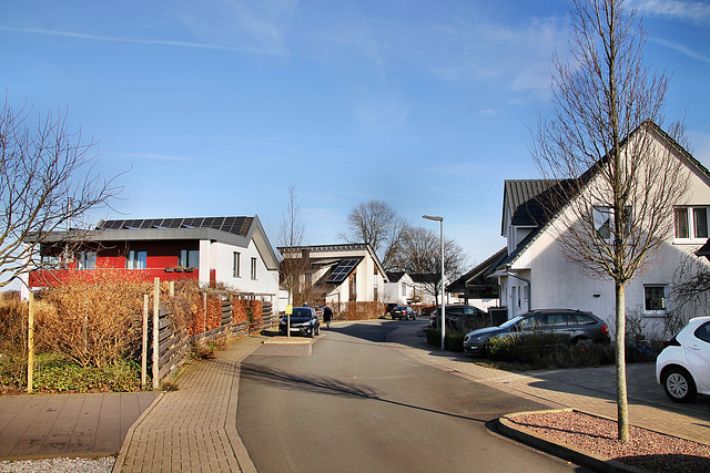 Hermann-von-Röell-Straße (Unna-Lünern) / 12.02.2022