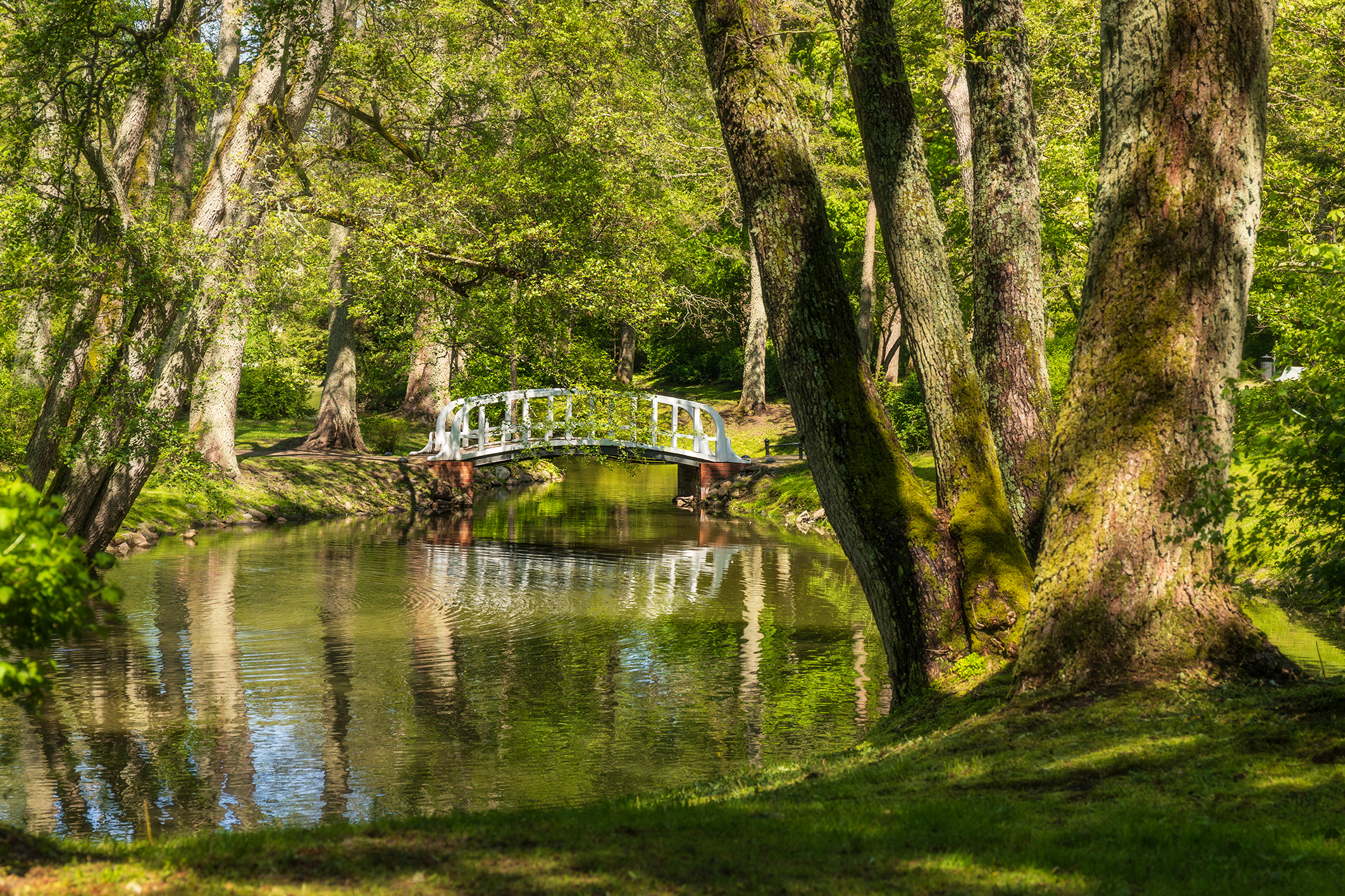 Palanga. White Lovers Bridge