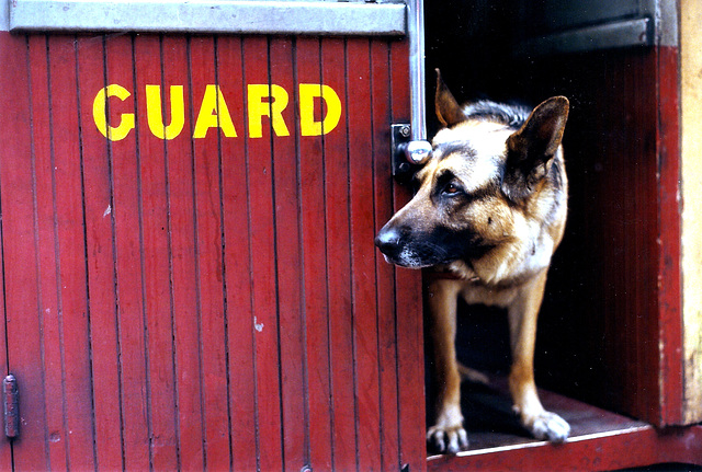 Guard