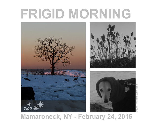 Frigid Morning