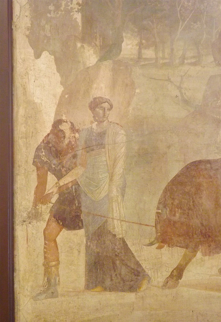 Detail of the Wall Painting with Dirce Tied to the Bull from the House of the Grand Duke in Pompeii in the Naples Archaeological Museum, July 2012