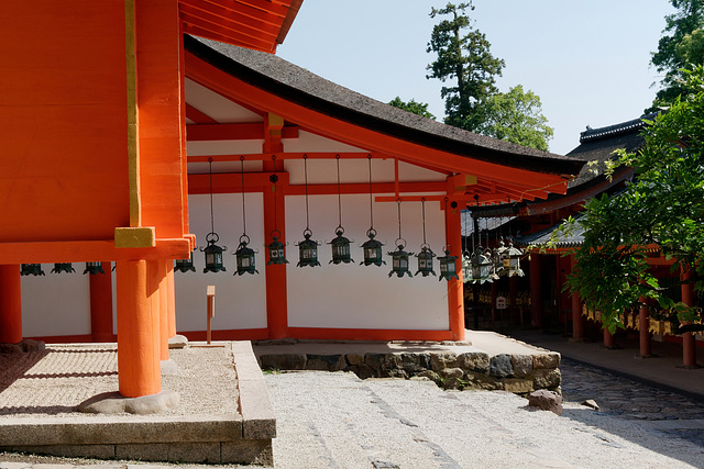 Sanctuaire Kasuga-taisha (春日大社) (6)