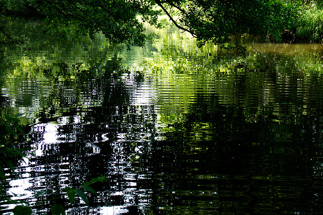 Licht und Schatten und Wellenspiel