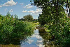 Die Natur kehrt zurück - River Restoration -  La renaturalisation fluviale