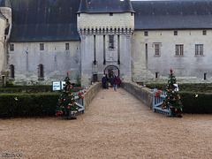 Le Plessis Bourré (Maine et Loire)