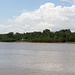 Amazonas-0598