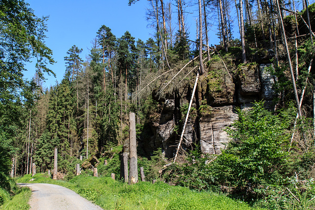 21_06_Sächsische Schweiz / Elbsandsteingebirge