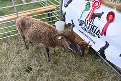 179thcasaug122023 (1305)