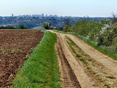 Poitiers - Skyline