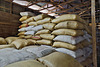 Stacks of Sacks – Doka Estate, San Luis de Sabanilla, Alajuela Province, Costa Rica