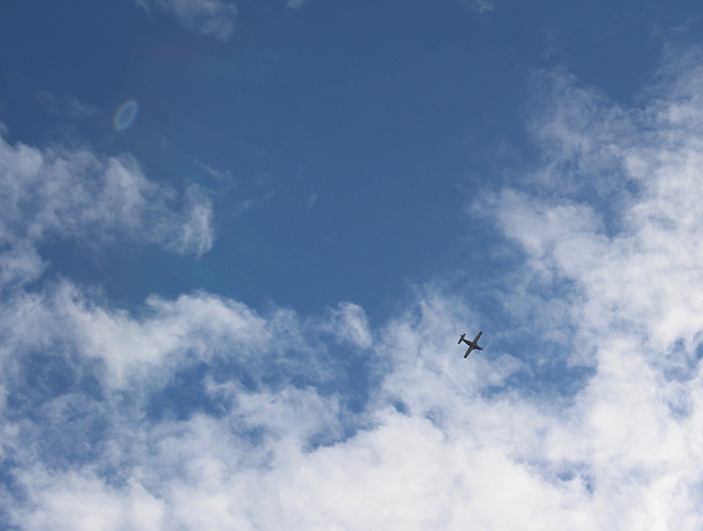 A plane and it's glory